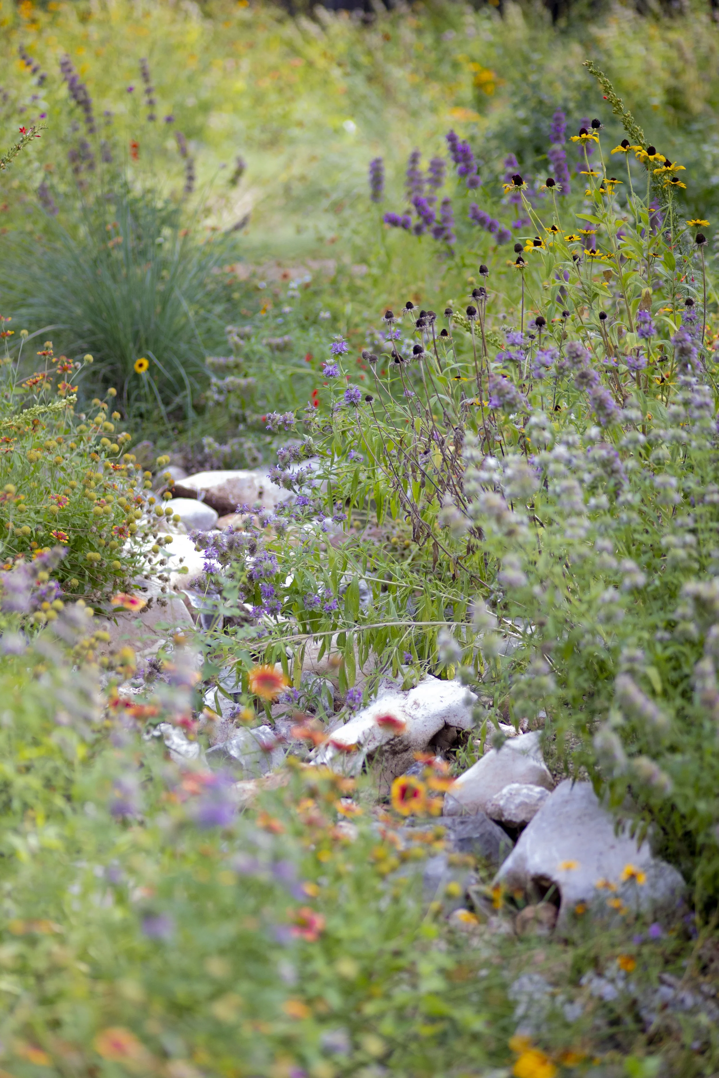 Davis Elementary_SUMMER 25_103.jpg