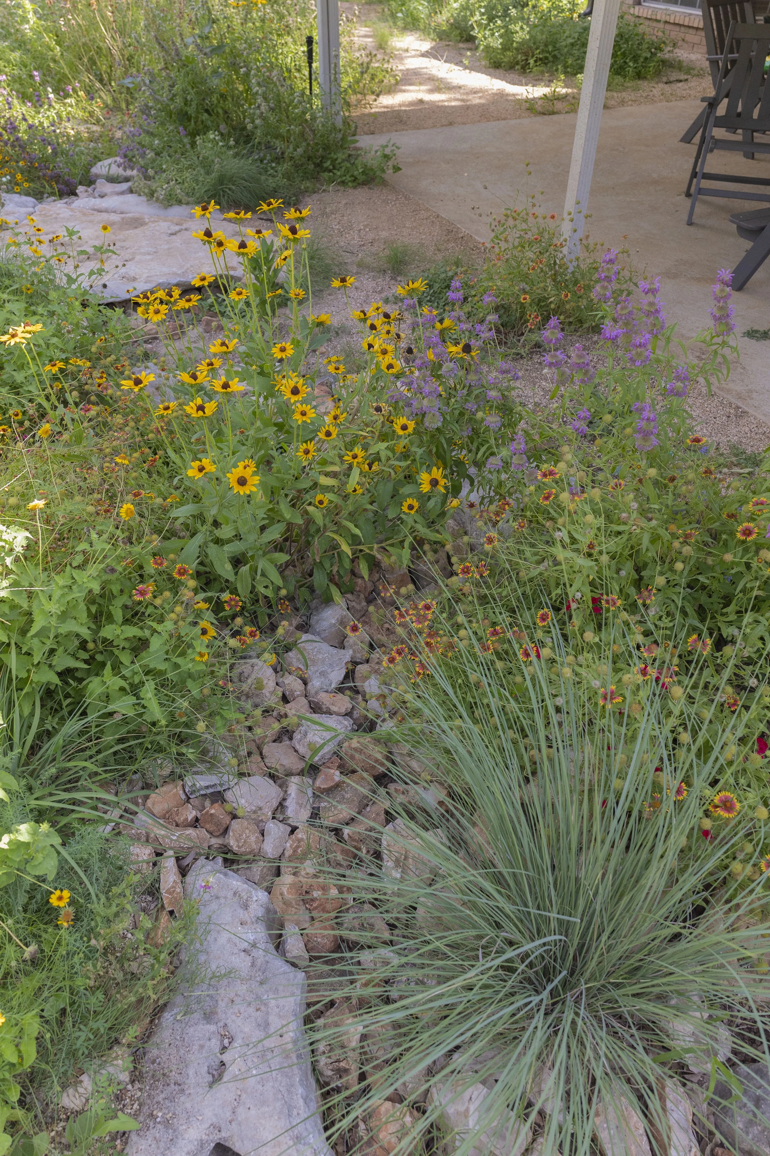 Davis Elementary_SUMMER 25_70.jpg