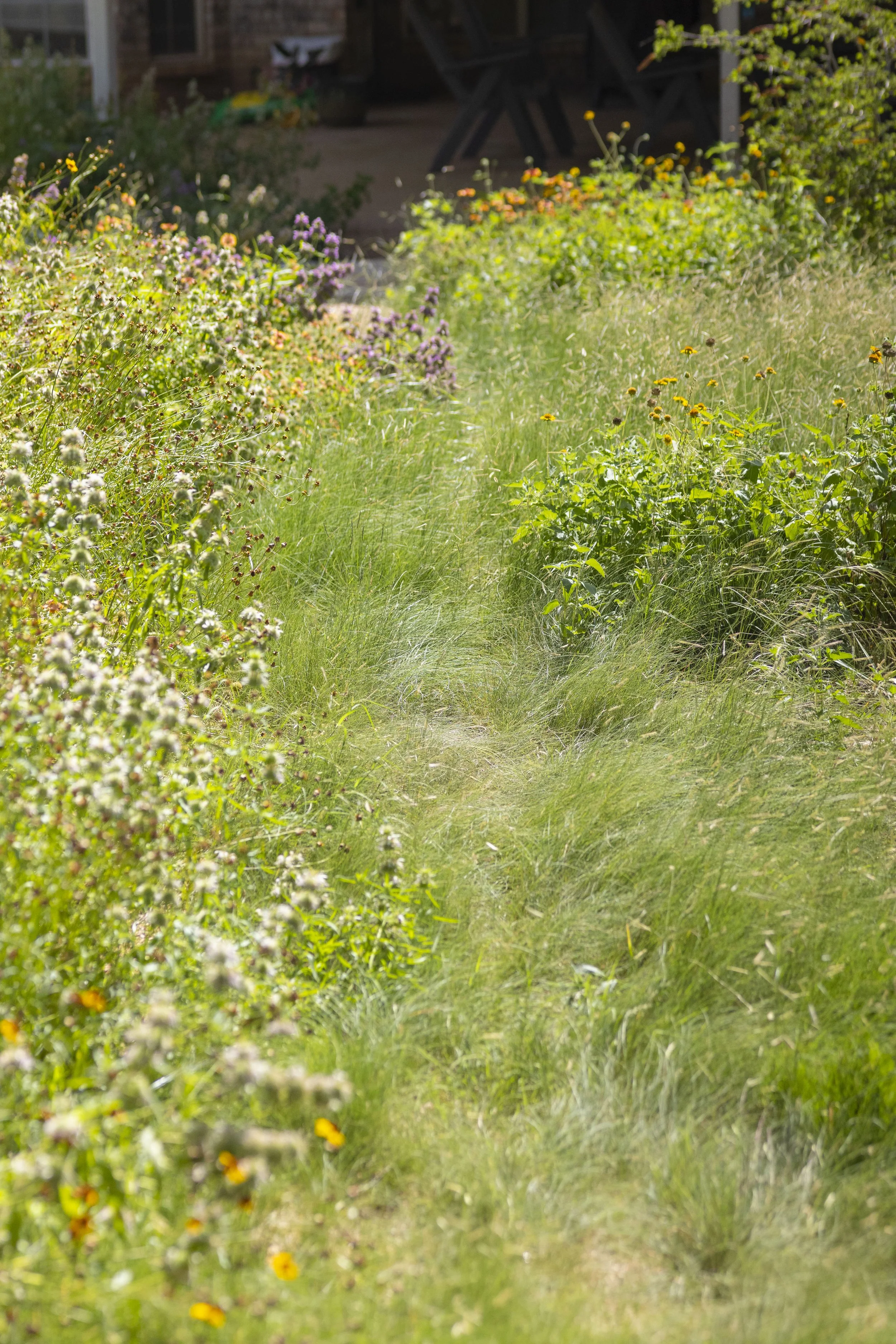 Davis Elementary_SUMMER 25_78.jpg