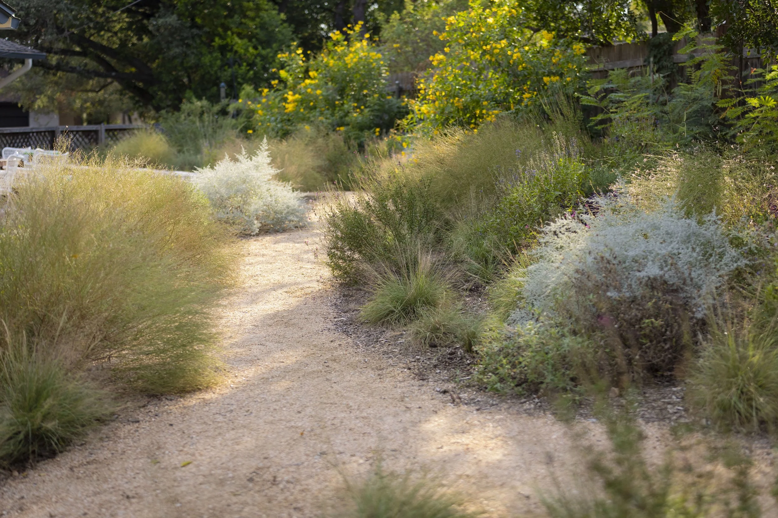 Shadow Mountain_32.jpg