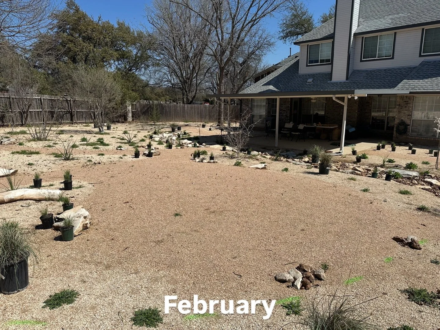 Seeding projects grow on a much different timeline than planted landscapes. 
We seeded this project this time last year, at the same time that we planted trees, grasses and perennials. You can see the small potted plants growing moderately by June, w