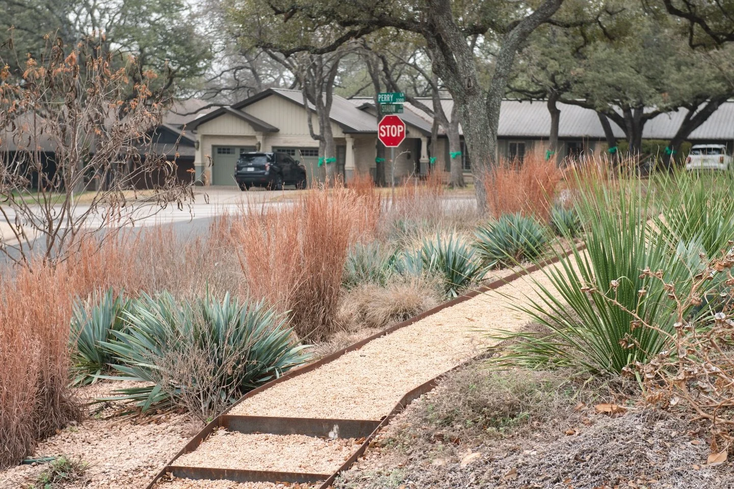 The last winter colors are almost gone. The teals of agave and yucca will stick around, but the straw and russet grasses are soon to be cut, rapidly regrowing with fresh spring green. I love the calm of winter in the garden. 

These beautiful photos 