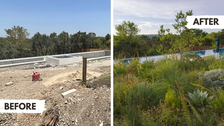 A yard before and after life. Before was low-mowed grass and weeds, already scorched by early summer. Hot, dusty, dry, and dead. We planted and seeds a native prairie and dense beds full of native grasses and perennials. These photos were taken in Ju