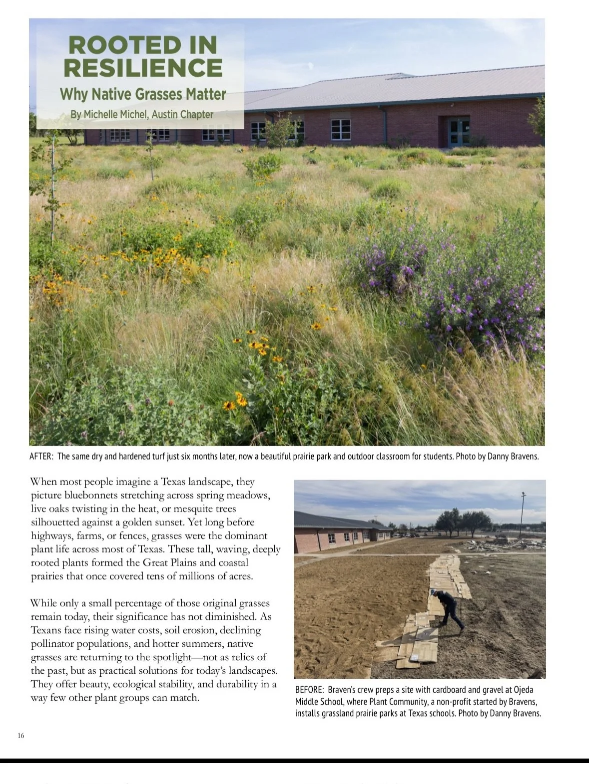 Cool article about the importance of native grasses in landscaping by @npsot that featured some of our projects. If you want to read the whole article and see if I said anything interesting you can find it on their website.
