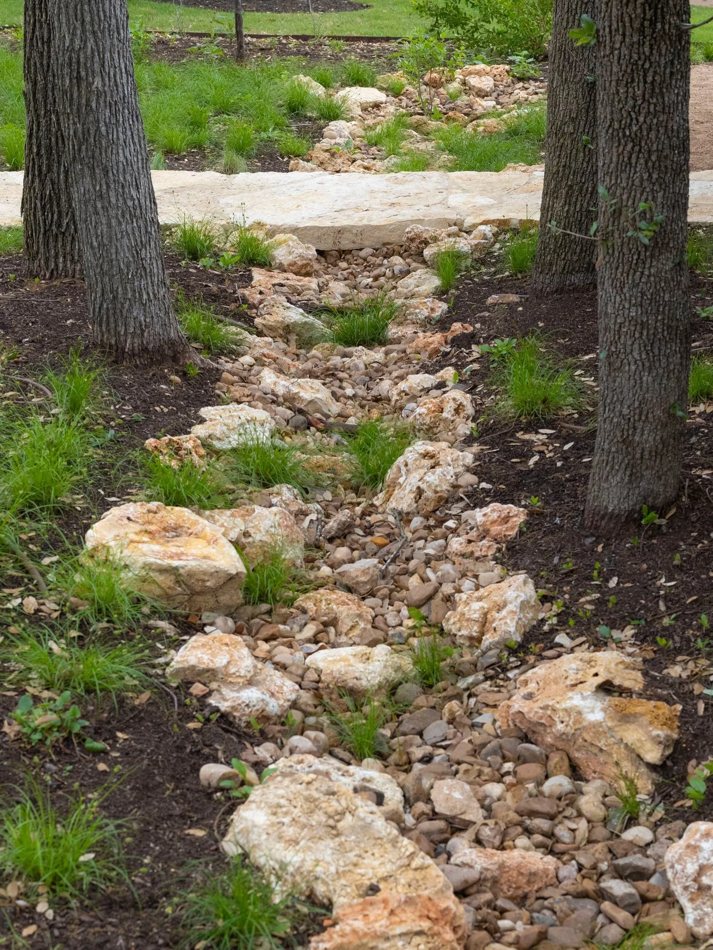 Open drainage is the best drainage because it&rsquo;s easy to see and clean out when it&rsquo;s blocked and can carry a lot more water than a 6&rdquo; pipe. It also keeps the water in the ground for plants and trees, and adds interest to the landscap