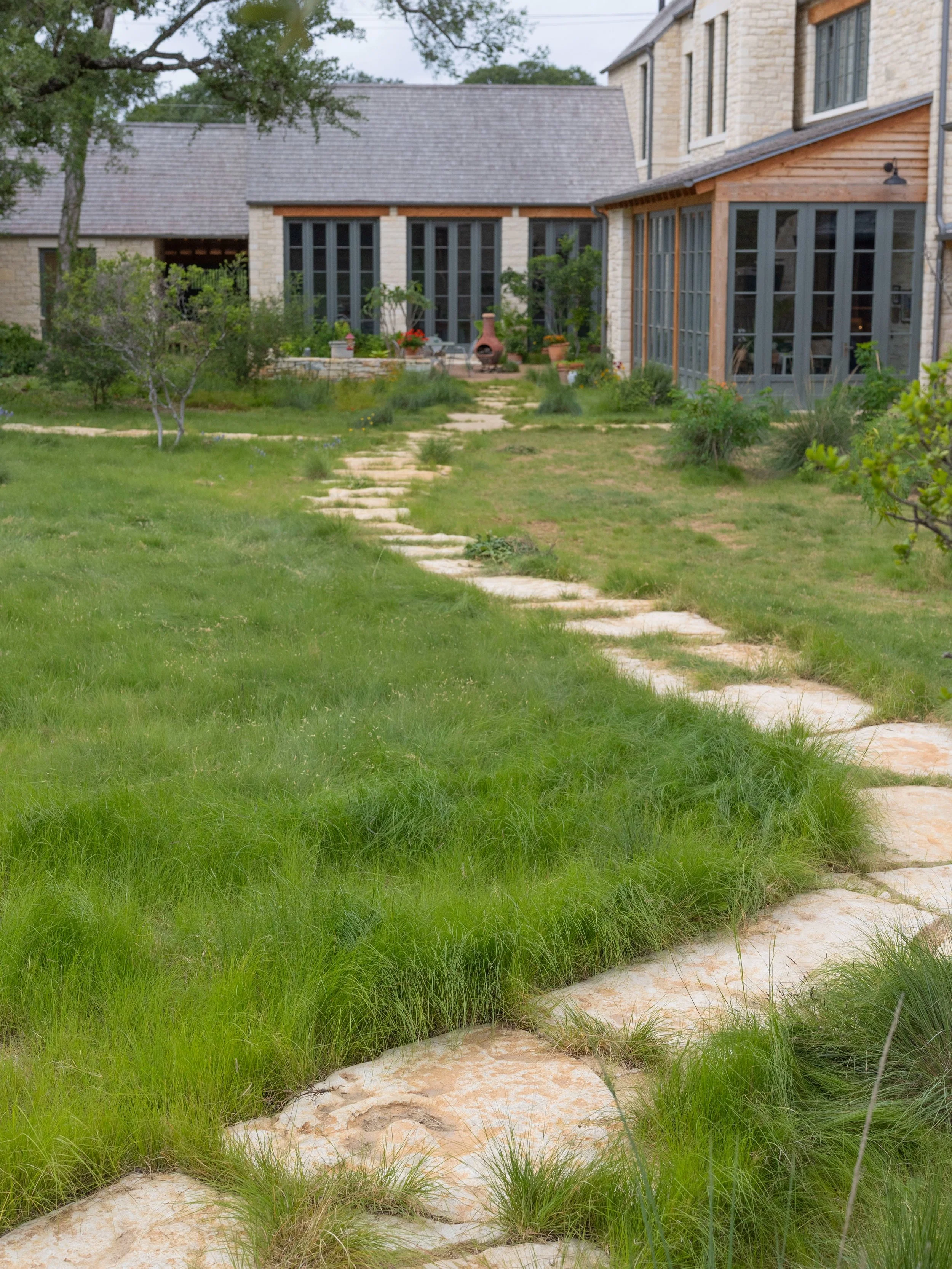 Our project in San Antonio is growing in well in it&rsquo;s first spring. The native turf in back has pops of bluebonnets, antelope horn milkweed, and four nerve daisy that all love the exposed edges along boulders and rock walls. 

The front of the 