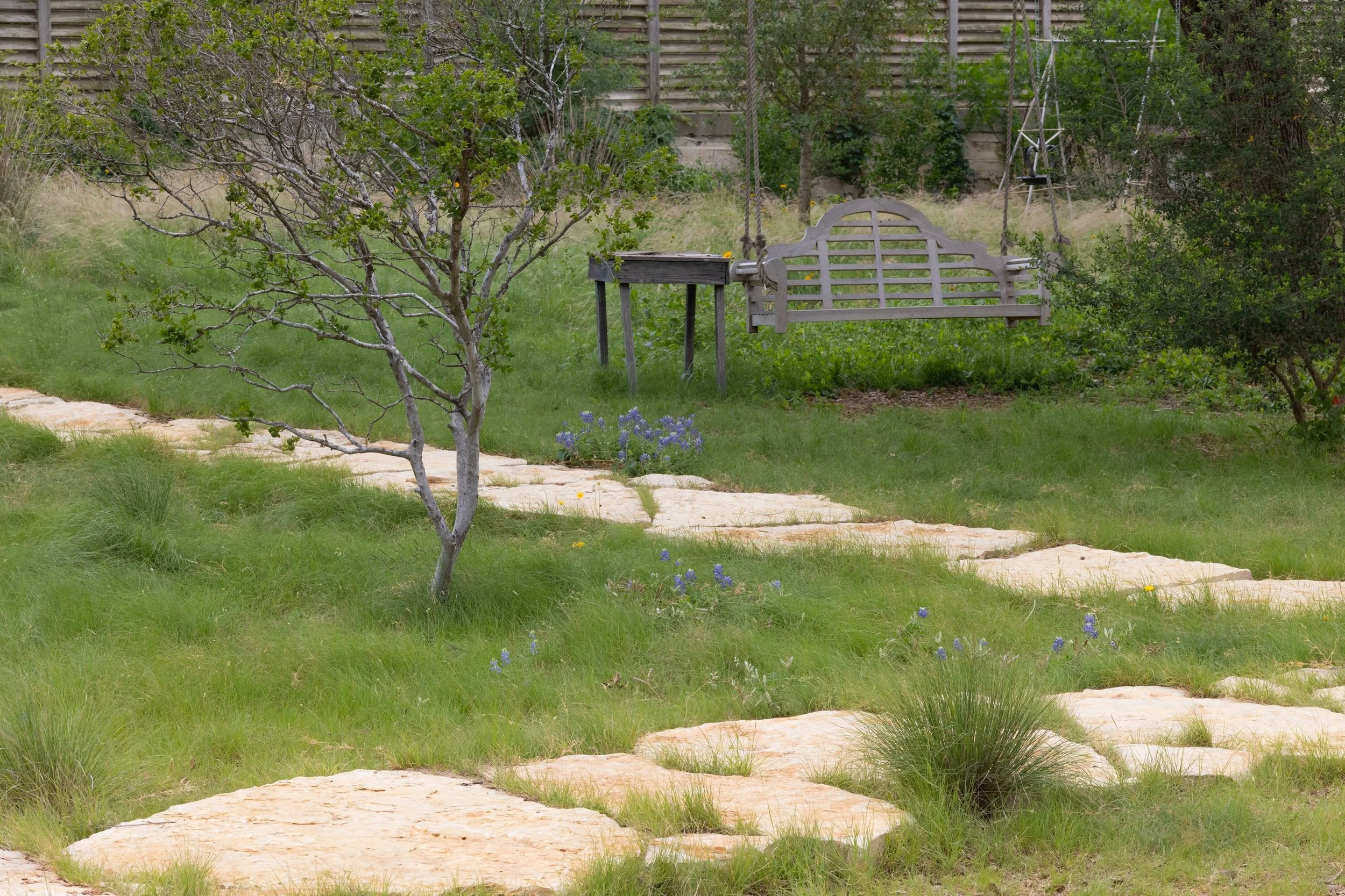 A few more from our San Antonio project. Limestone boulders have just the right chunkiness to go with the un mown native turf grass. The fence was made of raw cedar and old steel wire fencing we found on the site. Not sure how old the original fence 