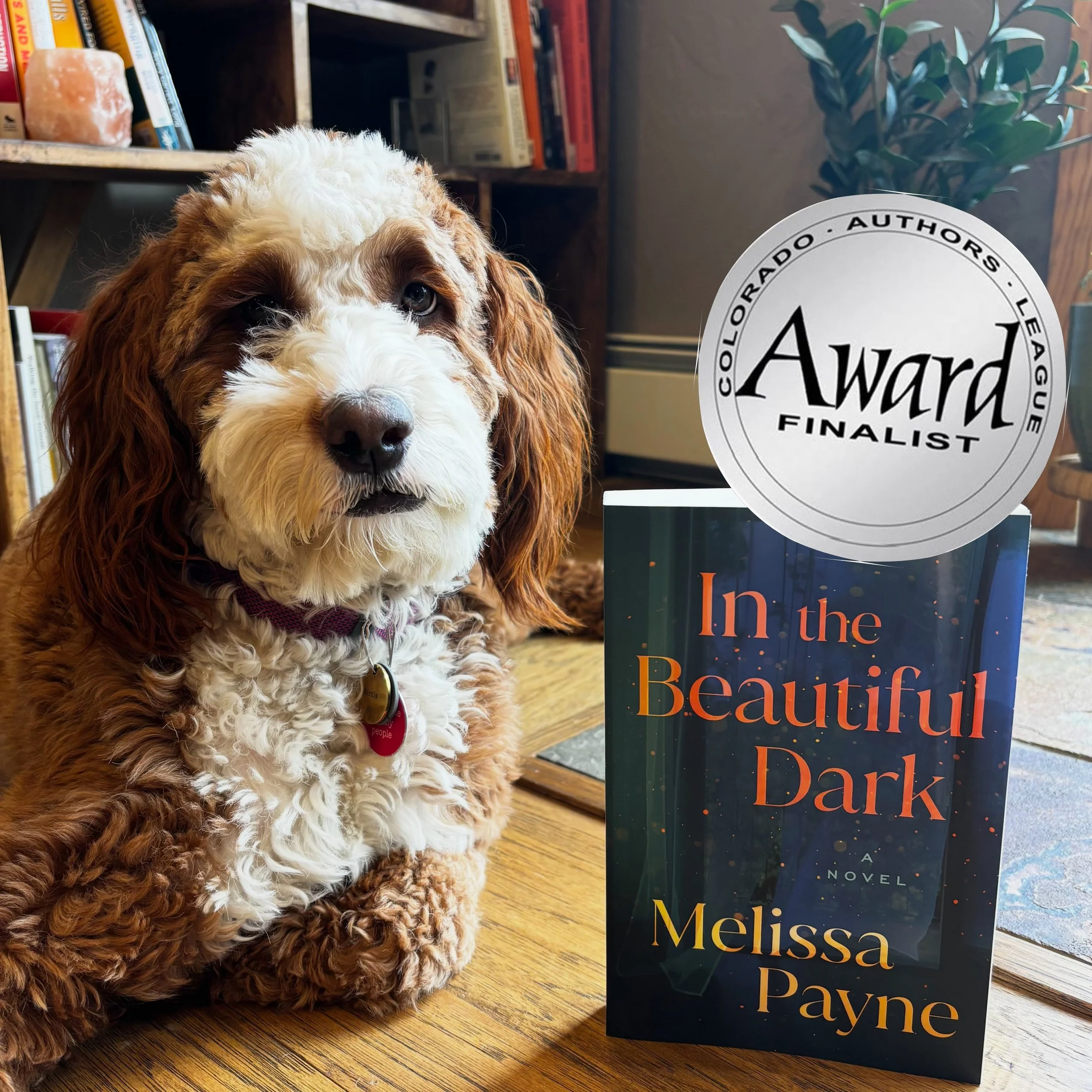 Birdie and I are so excited to share that In The Beautiful Dark is a finalist in the Mainstream/Literary category of the Colorado Authors League Awards! So honored to be included with fellow authors @r.l._maizes for A Complete Fiction and @lisac.tayl