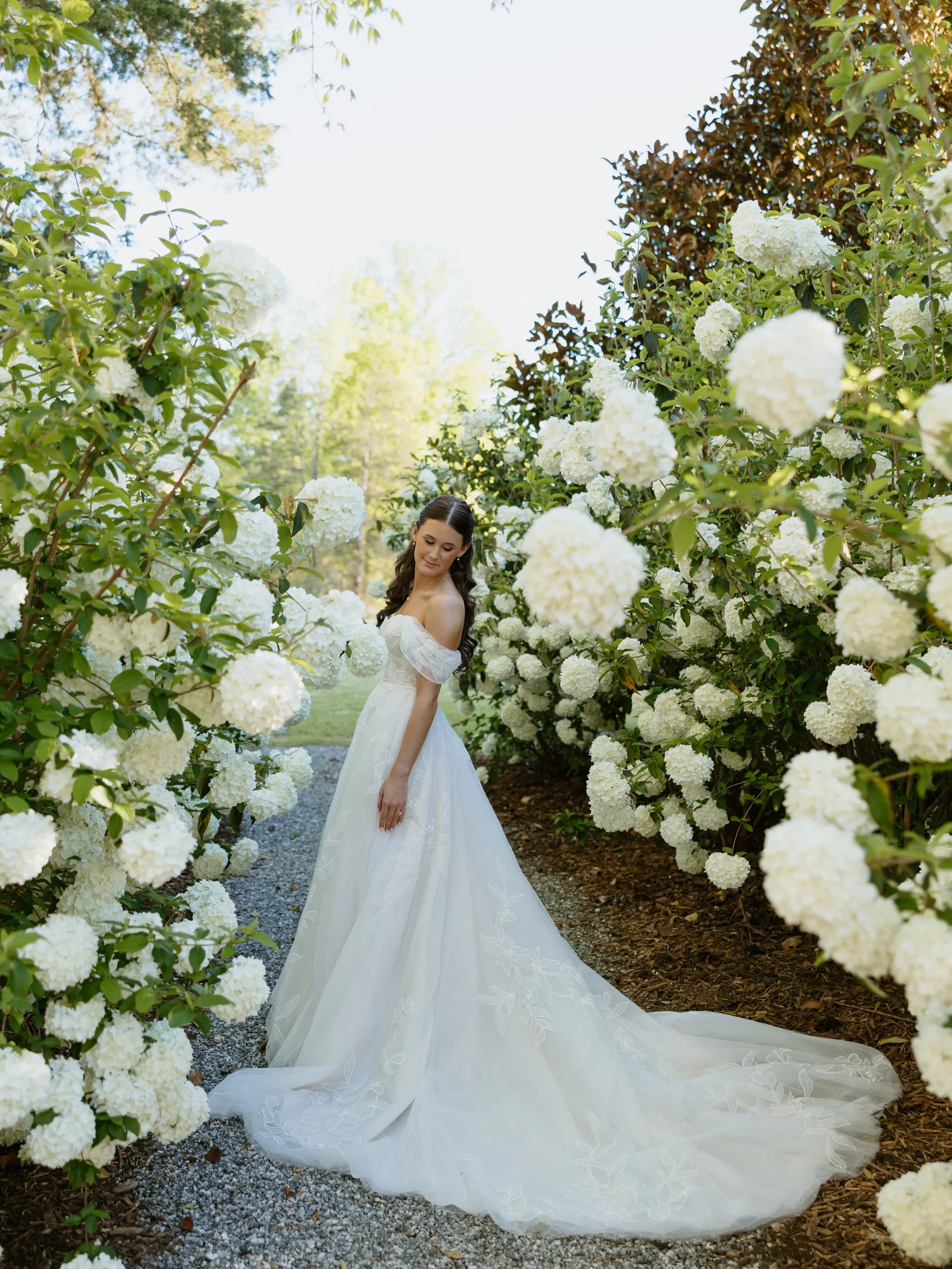 Bringing flowers back onto my feed with Lilly&rsquo;s bridals 🤍 I always love shooting at @heywardmanor (I got married there so it&rsquo;s extra special!), but especially during hydrangea season! Truly so beautiful 🌸