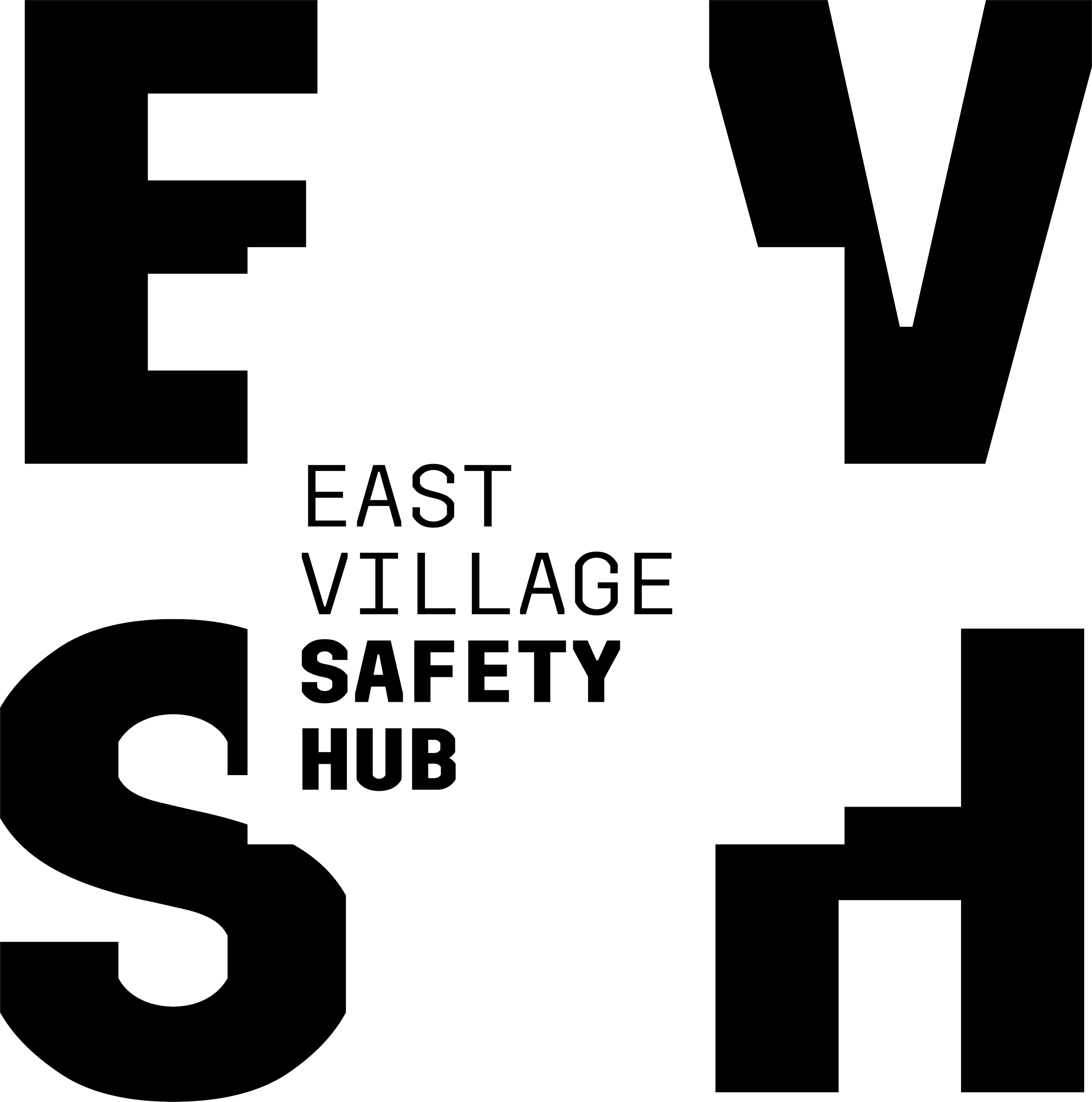 EV-SafetyHub-Wordmark-Black-RGB.png
