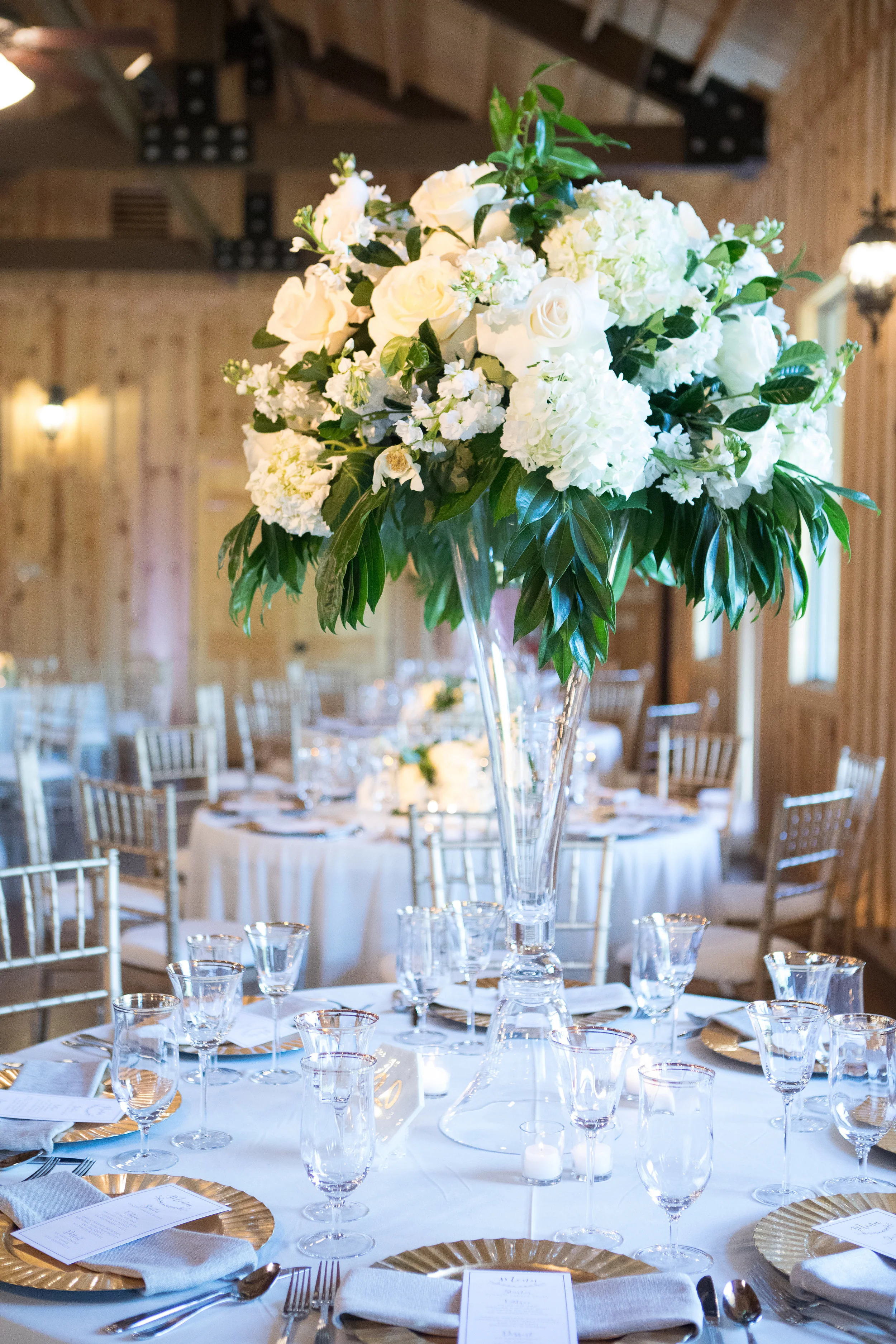 Michael Mandy-Reception-0016.jpg