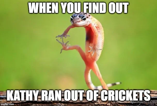 1 memed.jpg