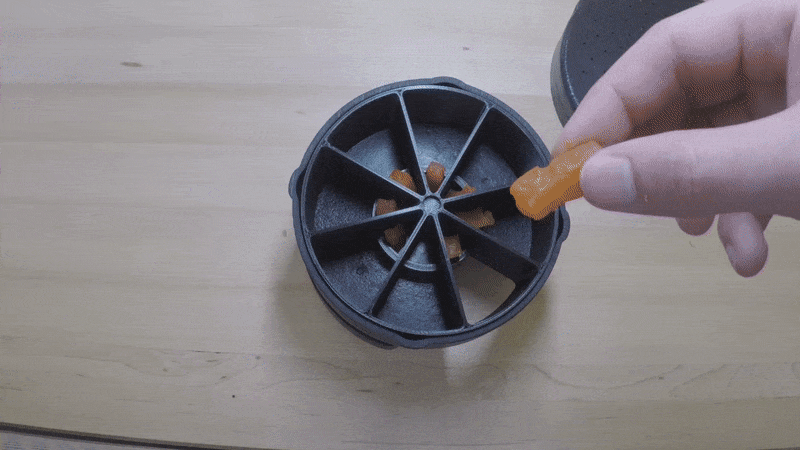 automatic lizard feeder