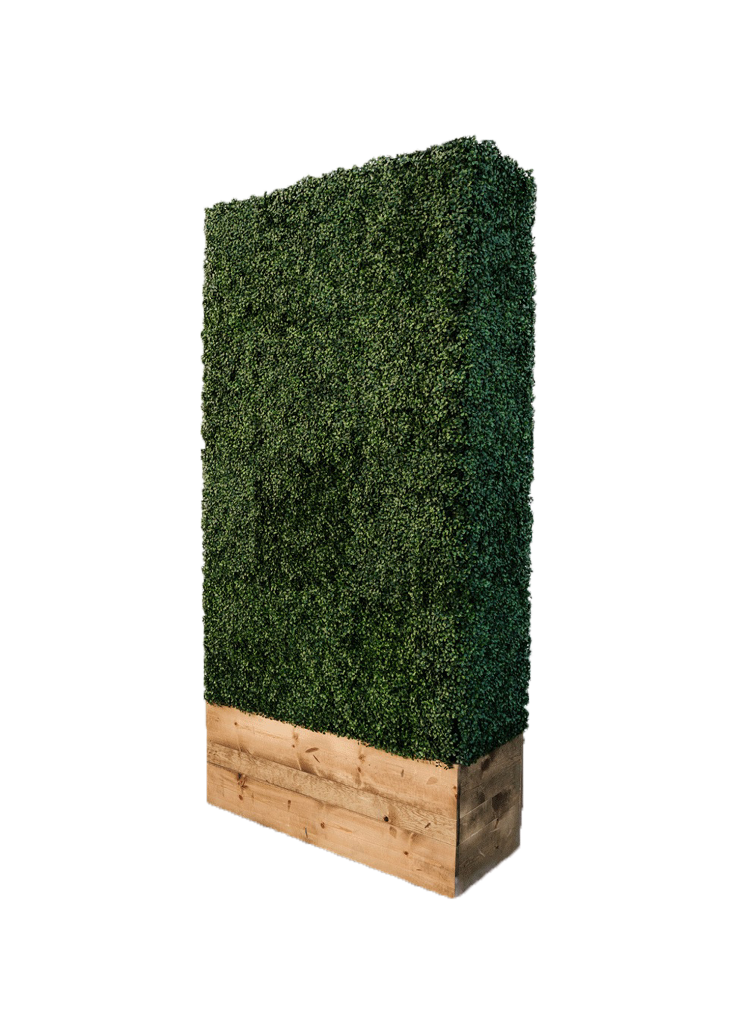 Hedge Wall