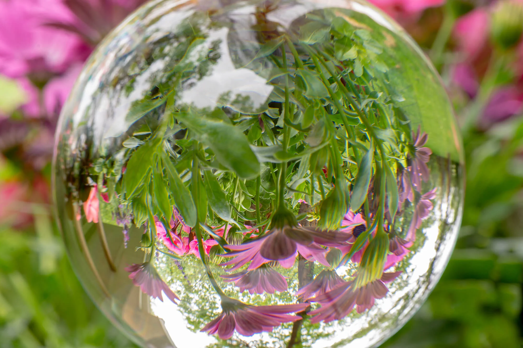 Exposure therapy for anxiety