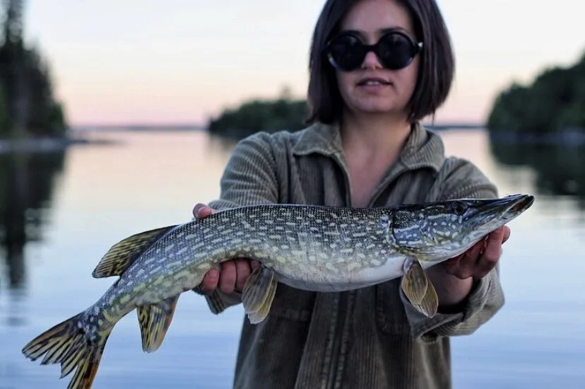 02C55FA5-5FD4-4F2F-86E2-44A990065D3E