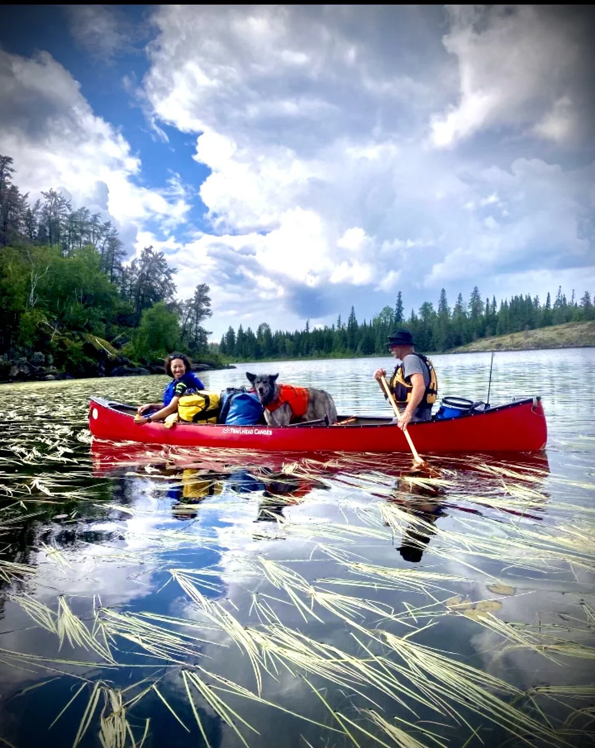 D8B8888B-6AEE-4D9F-98A0-0BCC99903760