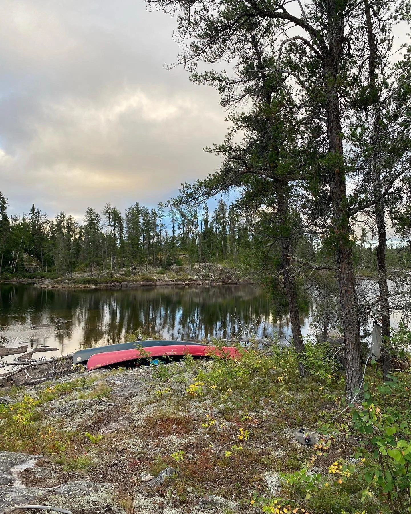 A62D02D9-A066-4B1C-8085-2C747DC93B32 2.JPG