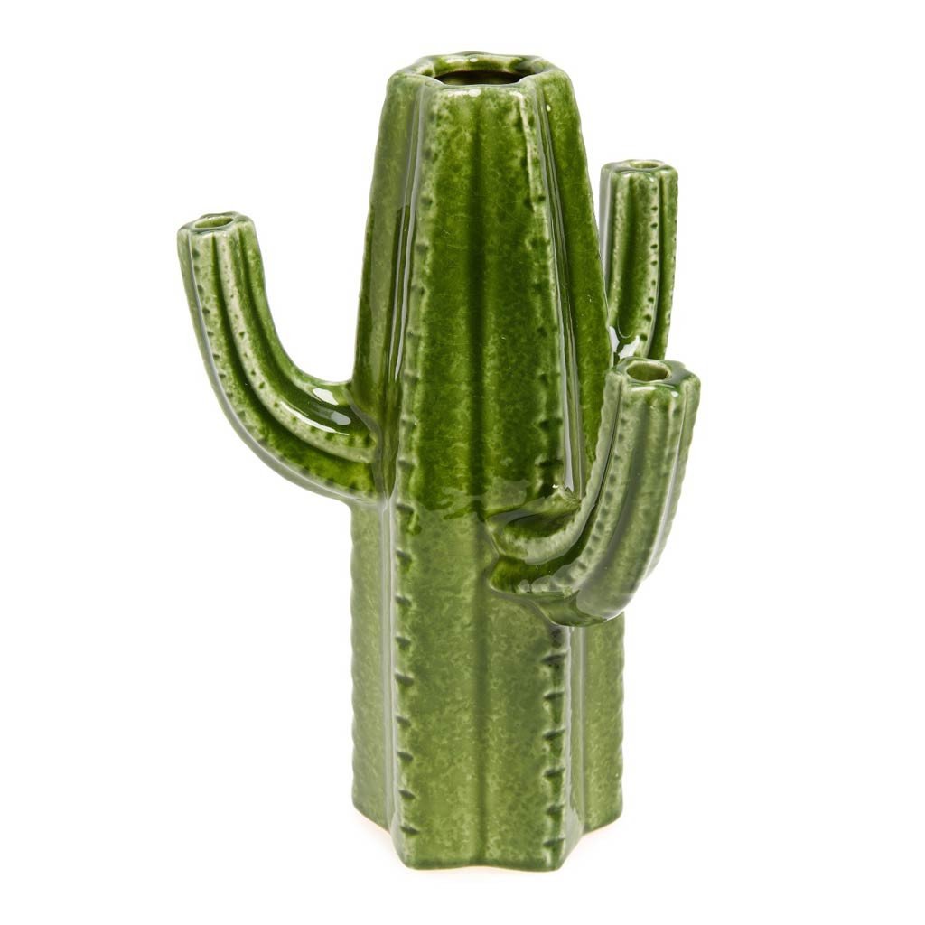 cco_largecactus_sfw_1024x1024.jpg