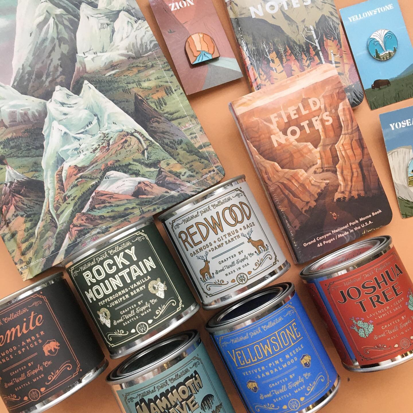 Our favorite National Park candles are back, along with lots of other park-themed goodies! 🏕 #nestdetroit #candles #notebooks #enamelpins