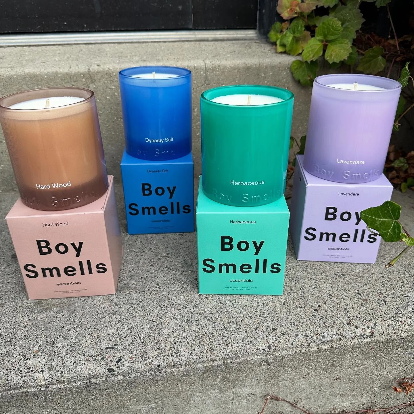 We&rsquo;re so excited to have @boy__smells candles back in the shop 😍 

New Essentials scents: 

&bull; Dynasty Salt - pink pepper, white t-shirt accord, clean musks. 
&bull; Herbaceous - bergamot, wet grass, sage. 
&bull; Hard Wood - pepper, leath