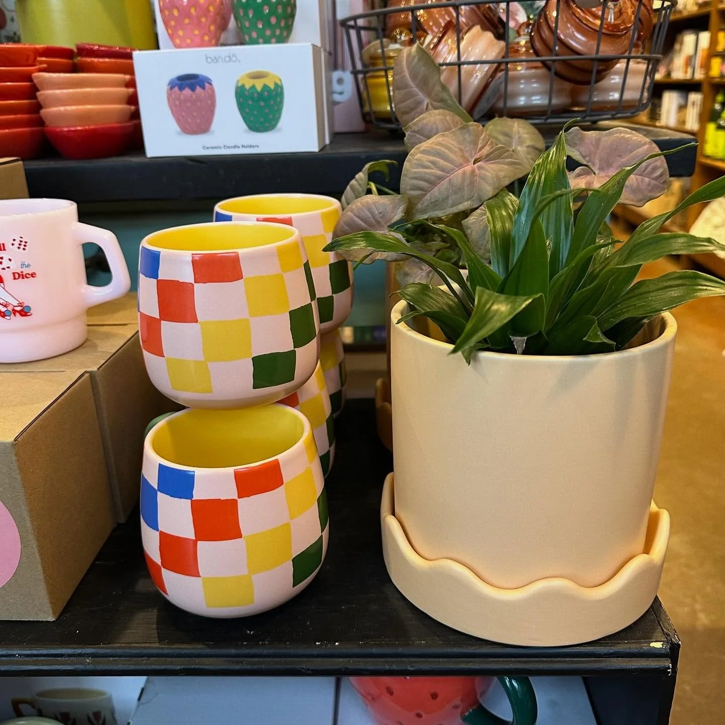Shop views ✨

Open &lsquo;til 7 today!

#nestdetroit #homegoods #homedecor #plants #candles #apothecary #gifts #shoplocal