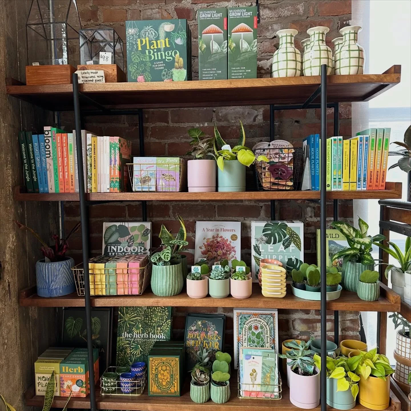 Our plant section is full of new goodies 🪴

New plant babies and cute pots &mdash; here &lsquo;til 7 today!

#nestdetroit #plants #pots #shoplocal