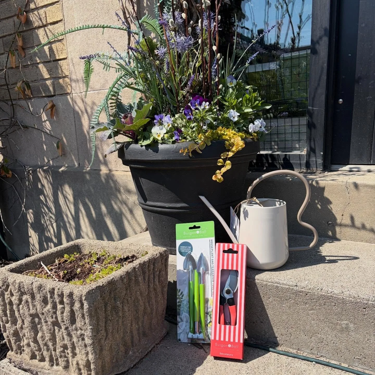 New gardening supplies just arrived at the shop 💐✨ we&rsquo;re open til 7pm today, come by to get started on planning your garden 🫶🏻 

#midtowndetroit #casscorridor #smallbusiness #gardening #detroit