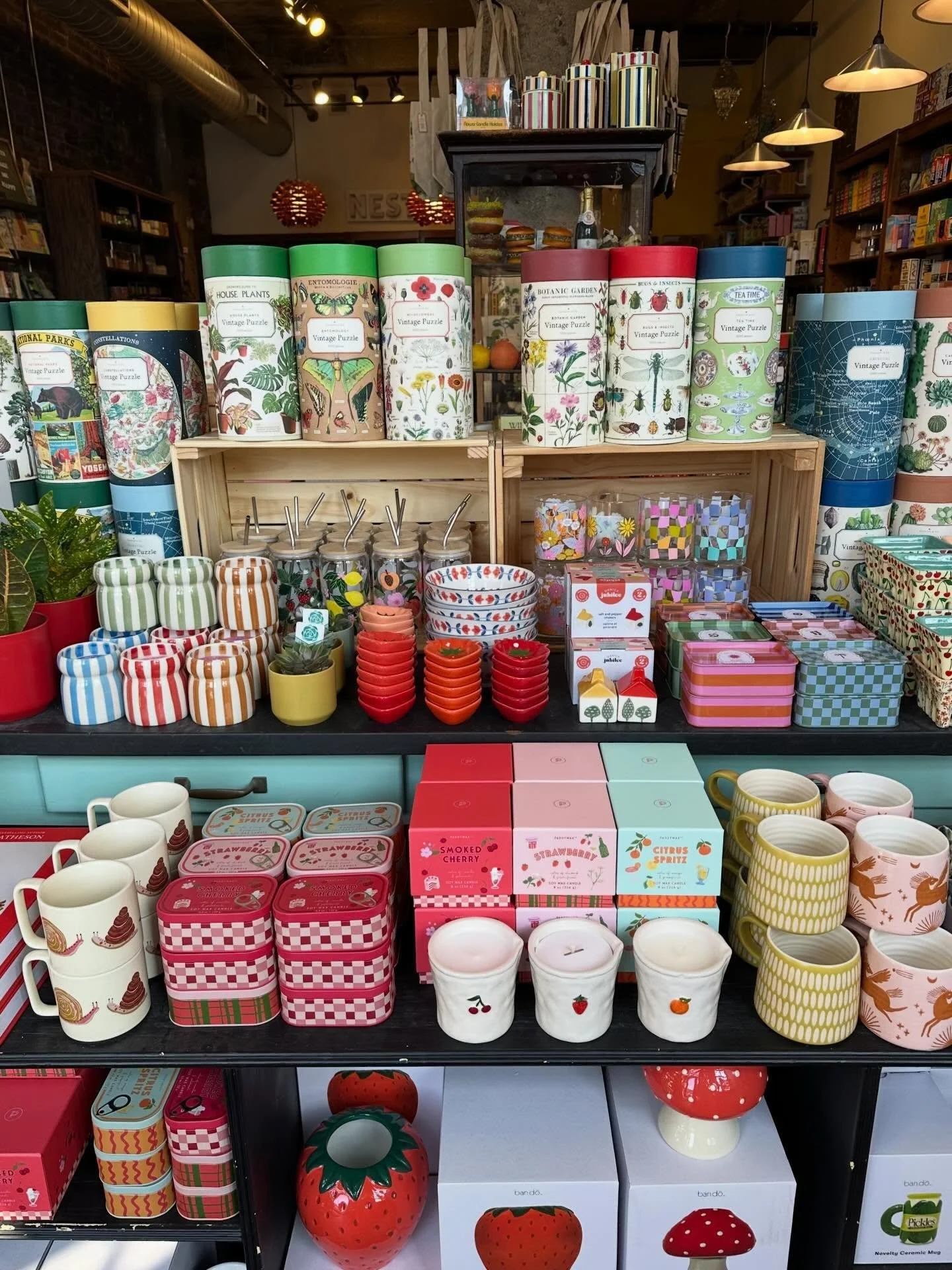 The shop is looking so colorful right now 🌈

Come see what&rsquo;s new - here &lsquo;til 7 today!

#nestdetroit #candles #homegoods #plants #gifts