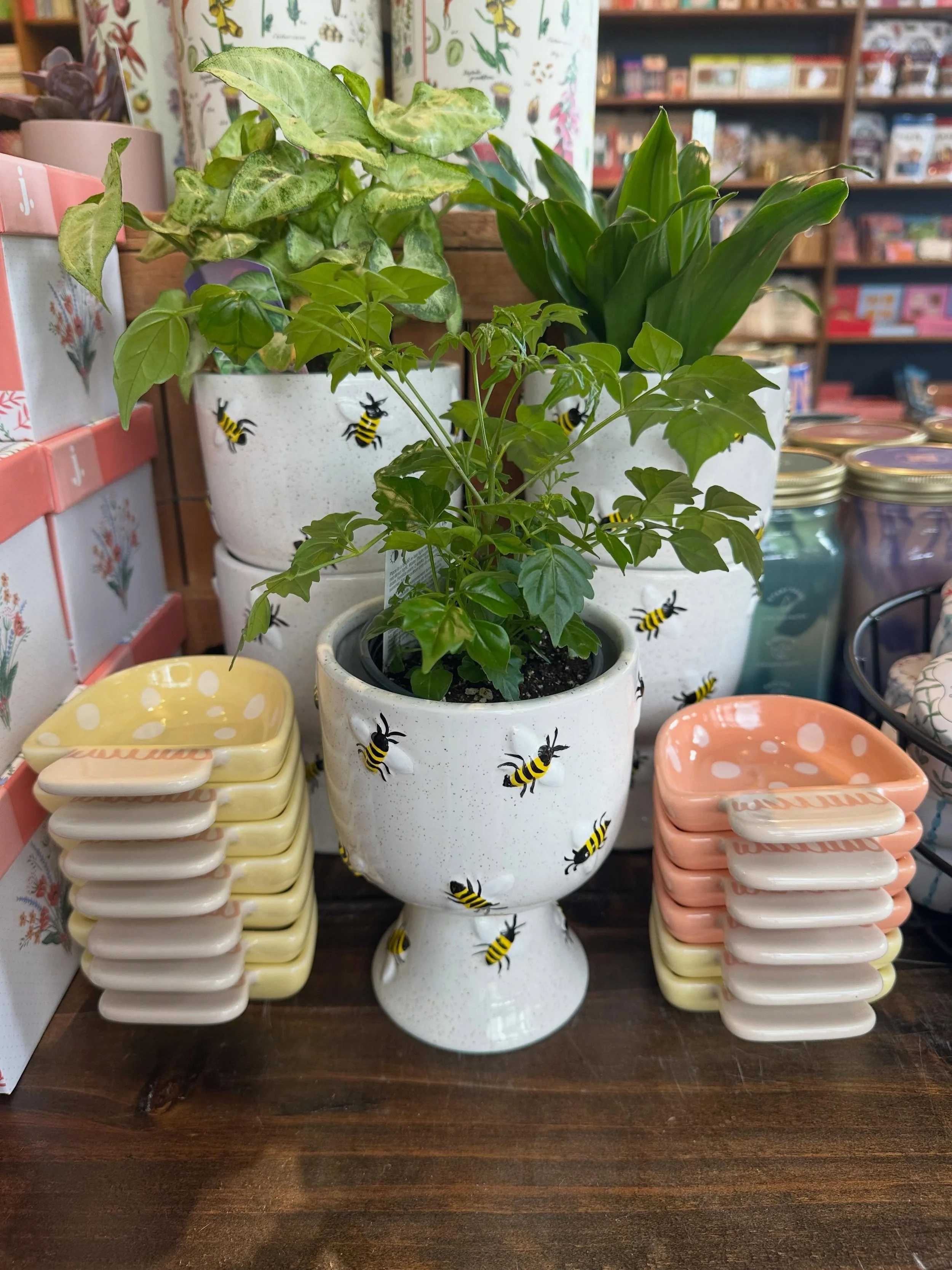 We&rsquo;re freshly restocked on plant pots and vases 🪴💐

Come scoop one up - we&rsquo;re here &lsquo;til 7 today!

#nestdetroit #pots #vases #plants #shoplocal