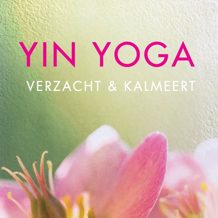 elke maandag- en woensdagochtend Aplomb &amp; Yin Yoga