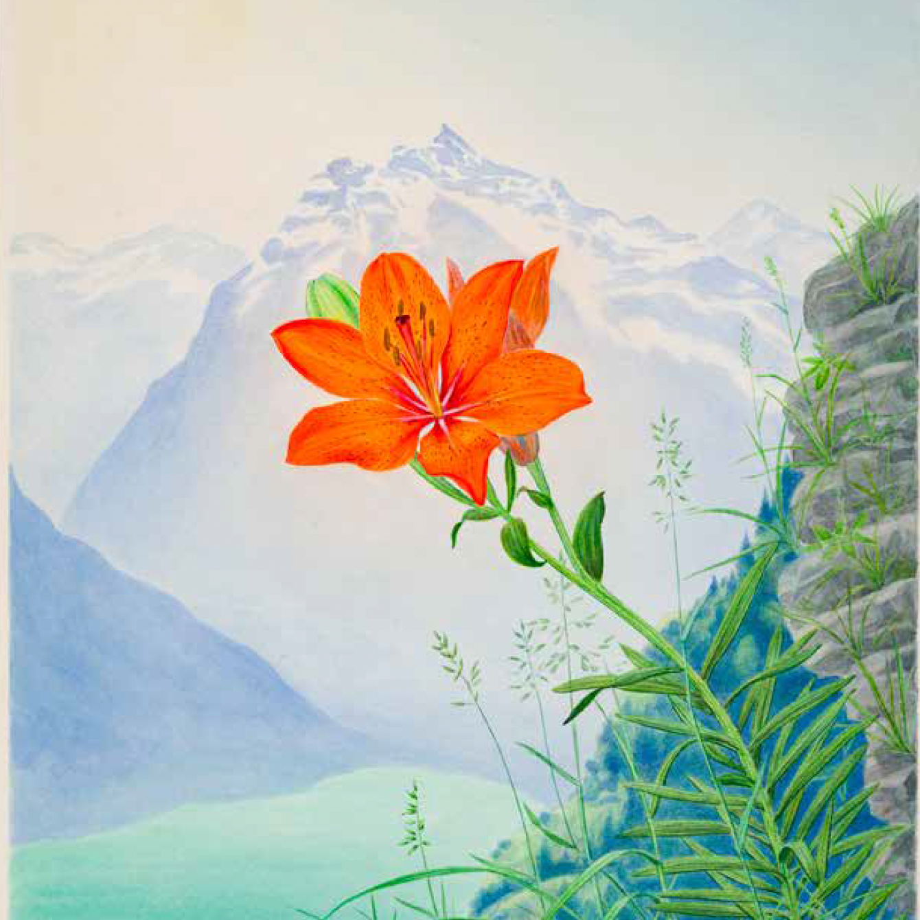 Tentoonstelling Aquarellen Frans Copijn, Vreede-huis den Haag