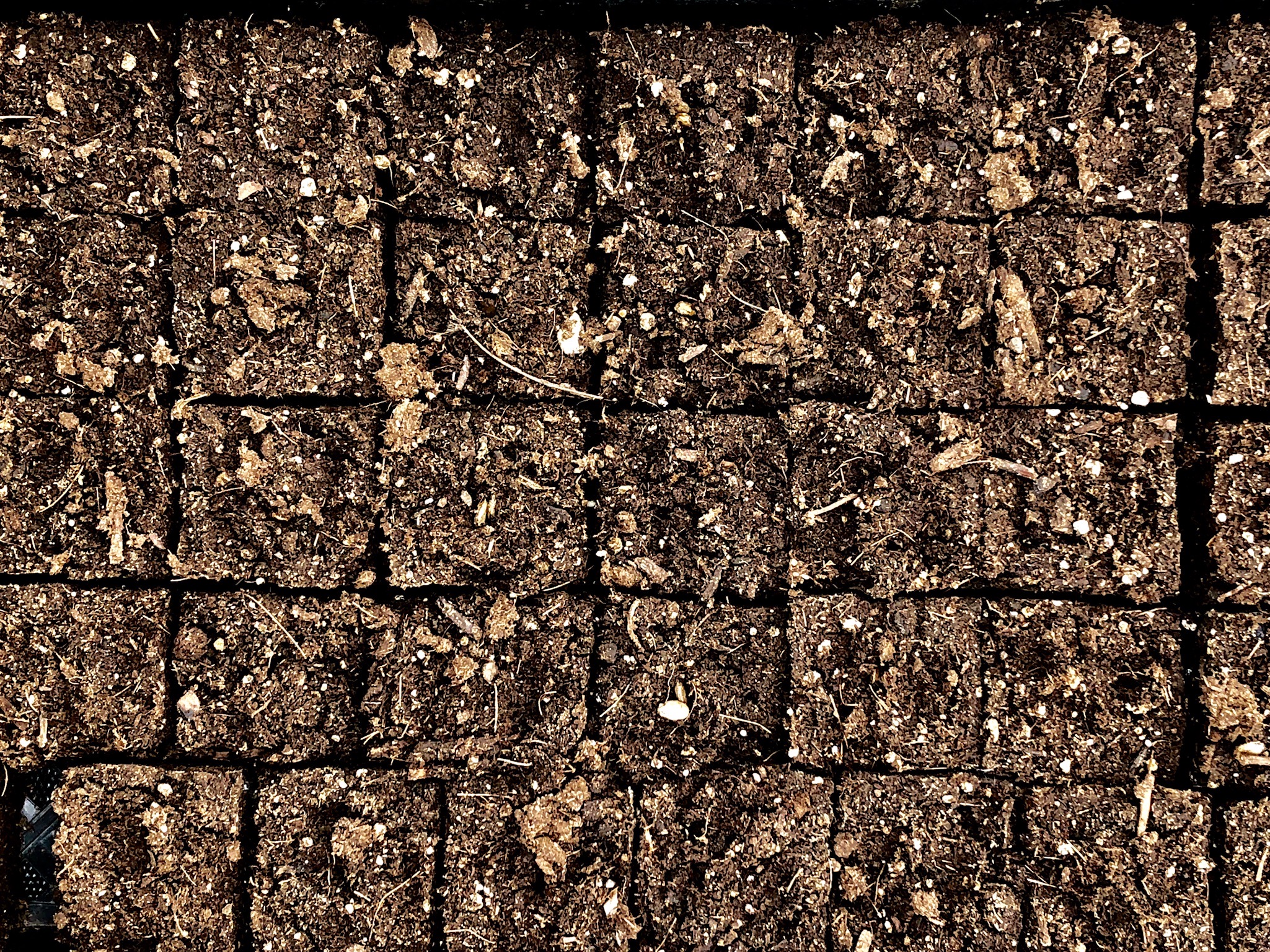 1737_SP_417 soil blocks from vicki johnson.jpg