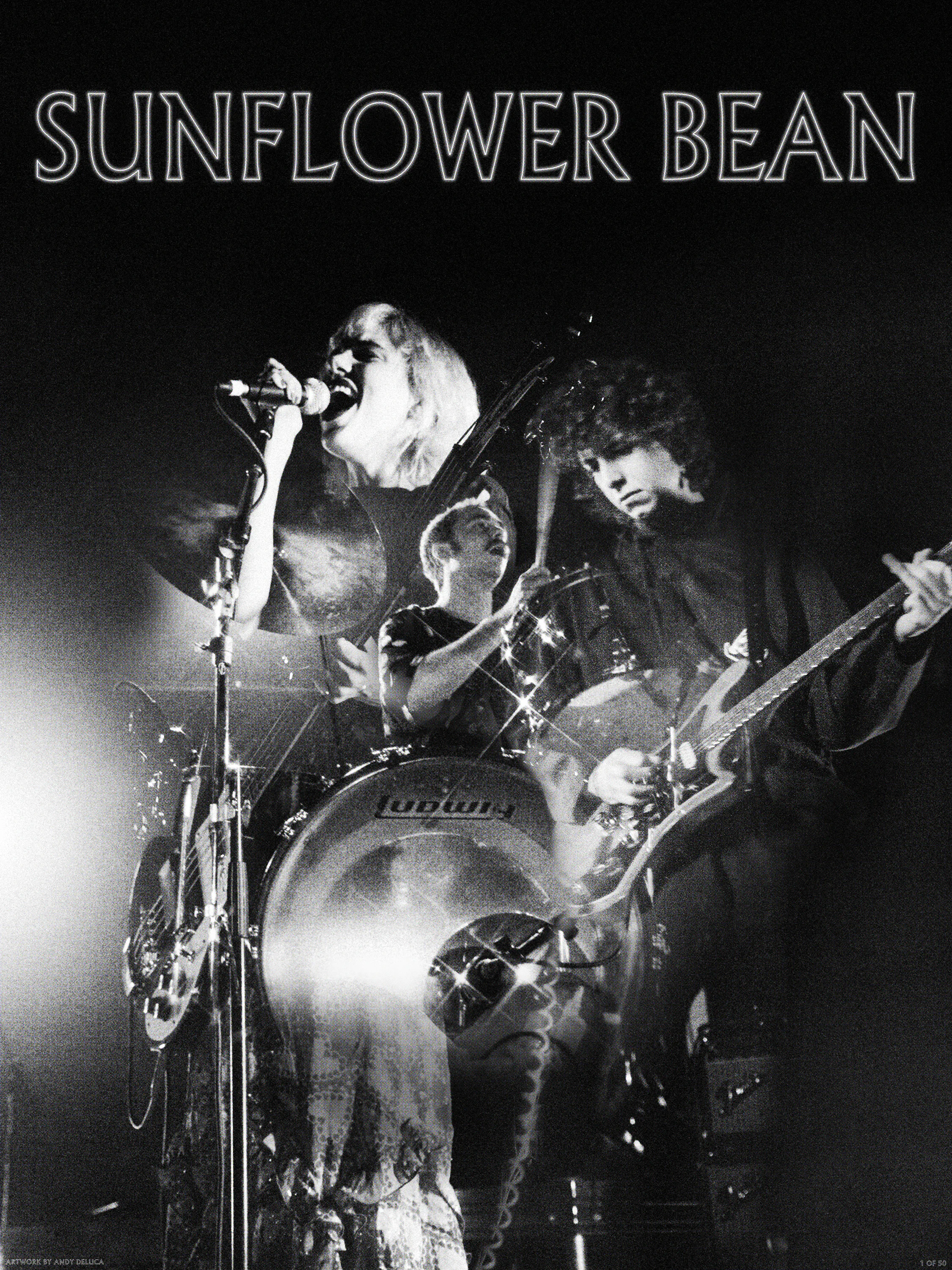 Sunflower Bean postersize.jpg