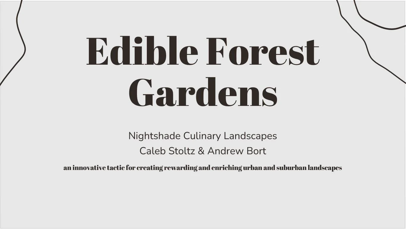 1 Edible Garden.JPG
