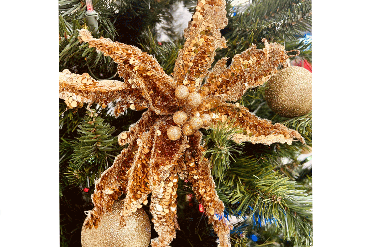 The star of stars - all aglow in gold sequins.