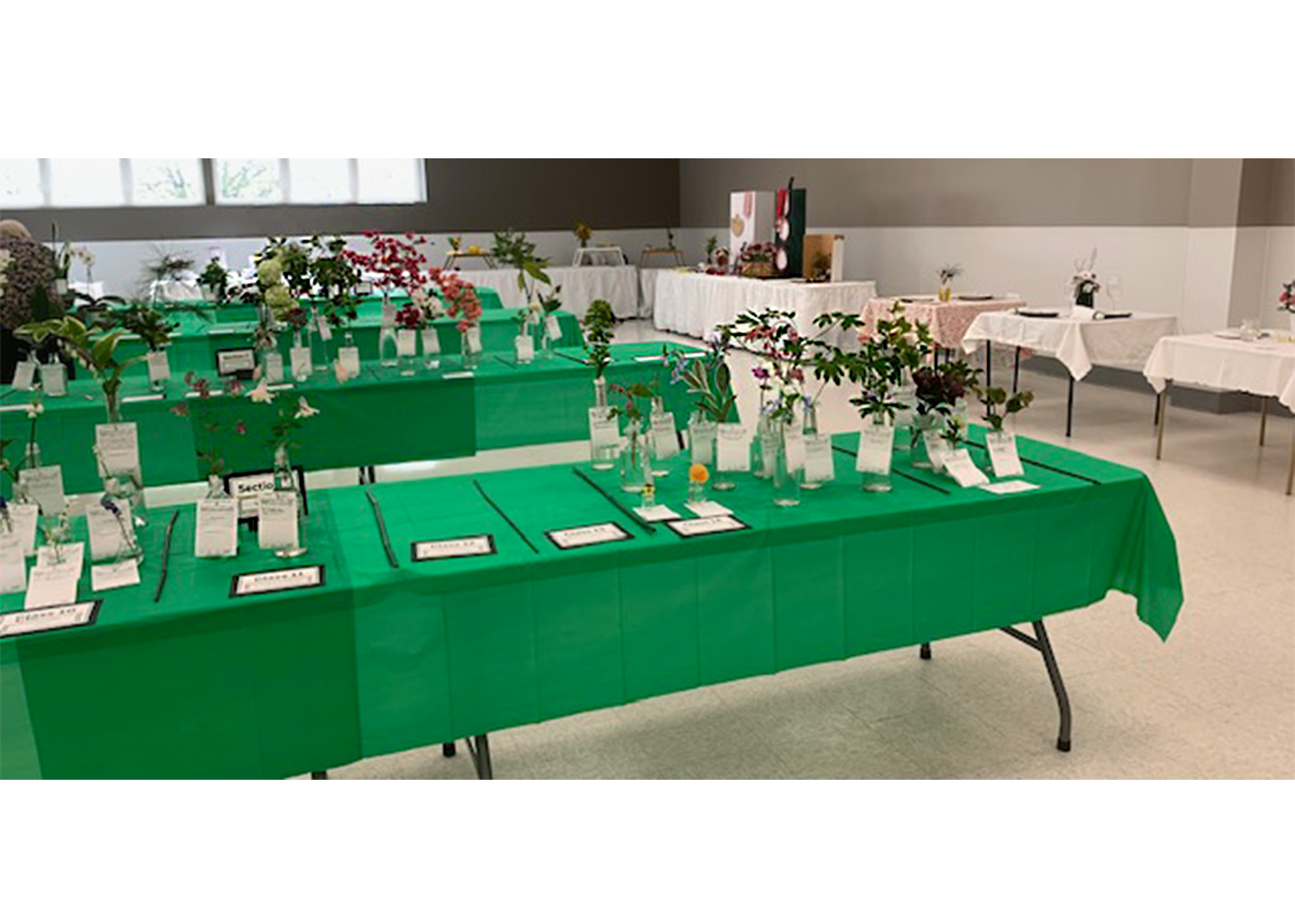 Getting the Horticulture Displays ready.