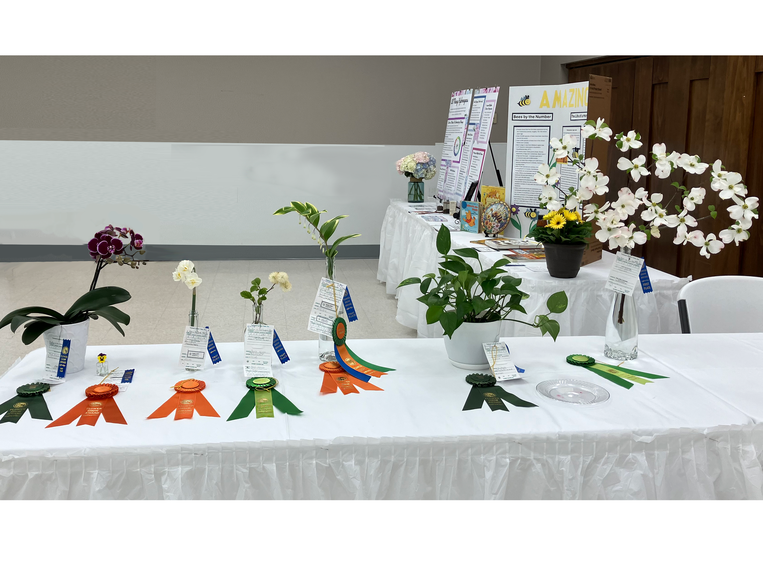 Horticulture showed a winning and diverse group of green and more. 