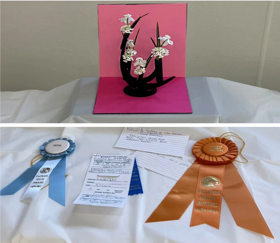 Linda wins award for her sophisticated Petite.