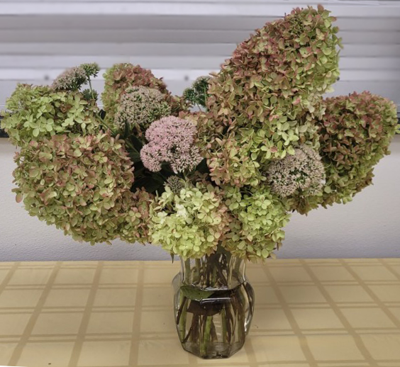 Ruth's hydrangea garden comes for a visit. 
