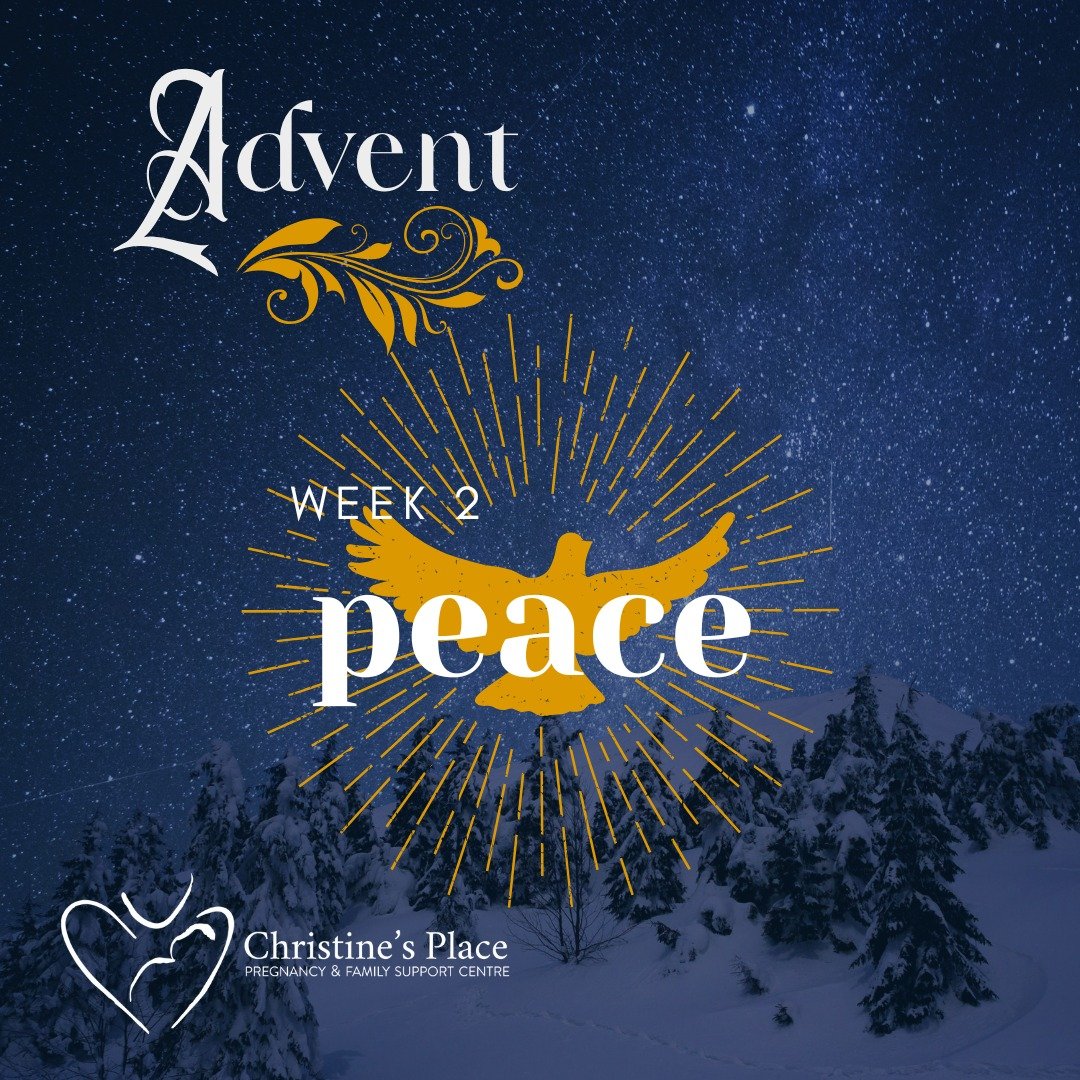 As we continue our Advent journey this December, we invite you to pause with us and reflect on Week Two: PEACE &mdash; Shalom.

In Scripture, peace is more than the absence of conflict. It speaks of wholeness, restoration, and everything made complet