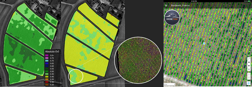 Enhanced Vegetation Index Trial MAPSET Registration