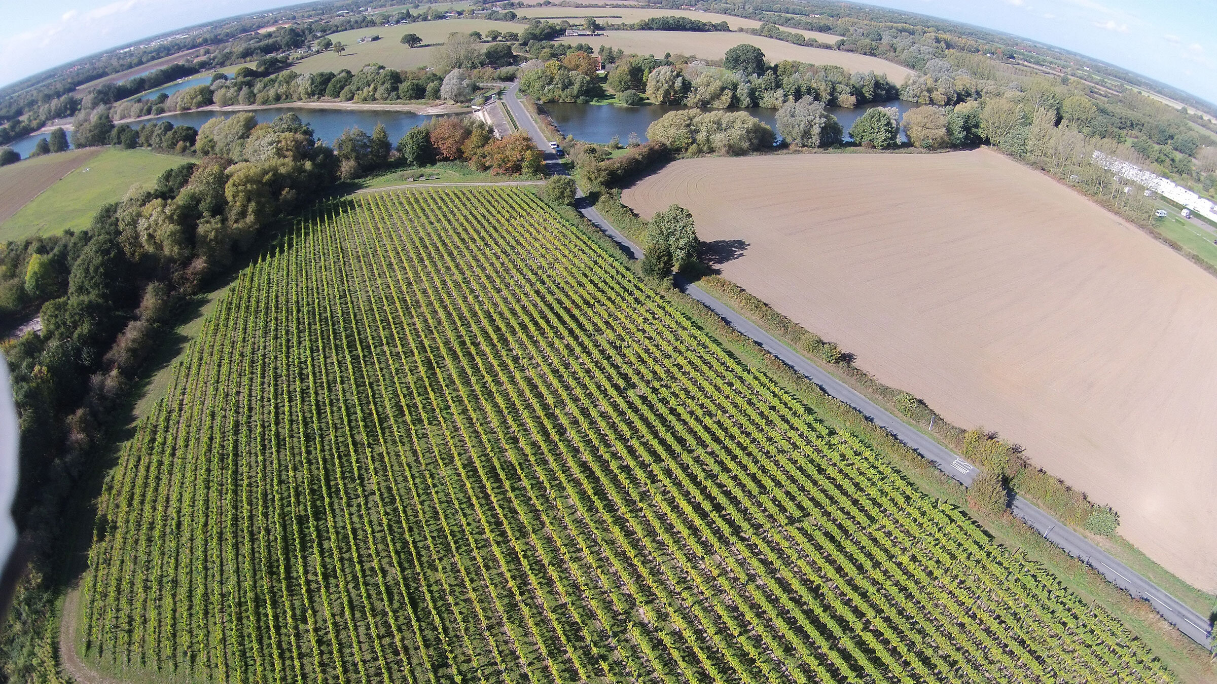 Prettyfields-Vineyard-Essex-Drone.jpg