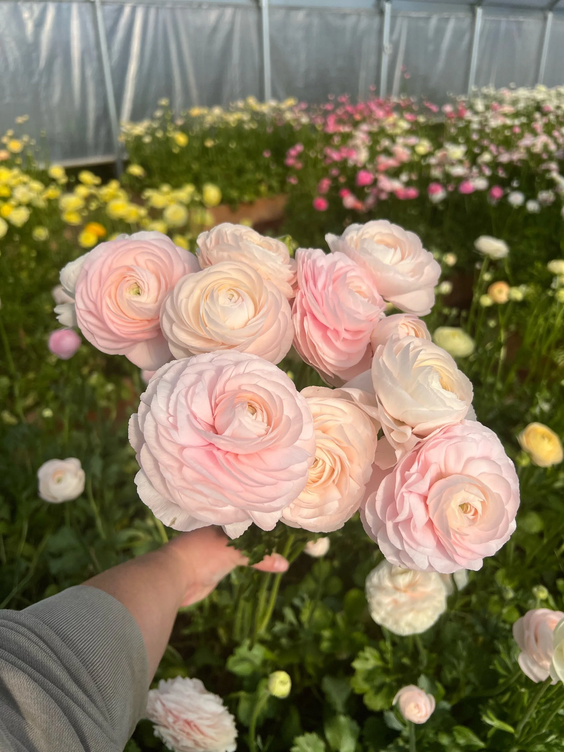 E6DF2A97-9570-4162-8C47-E293C9B962EE