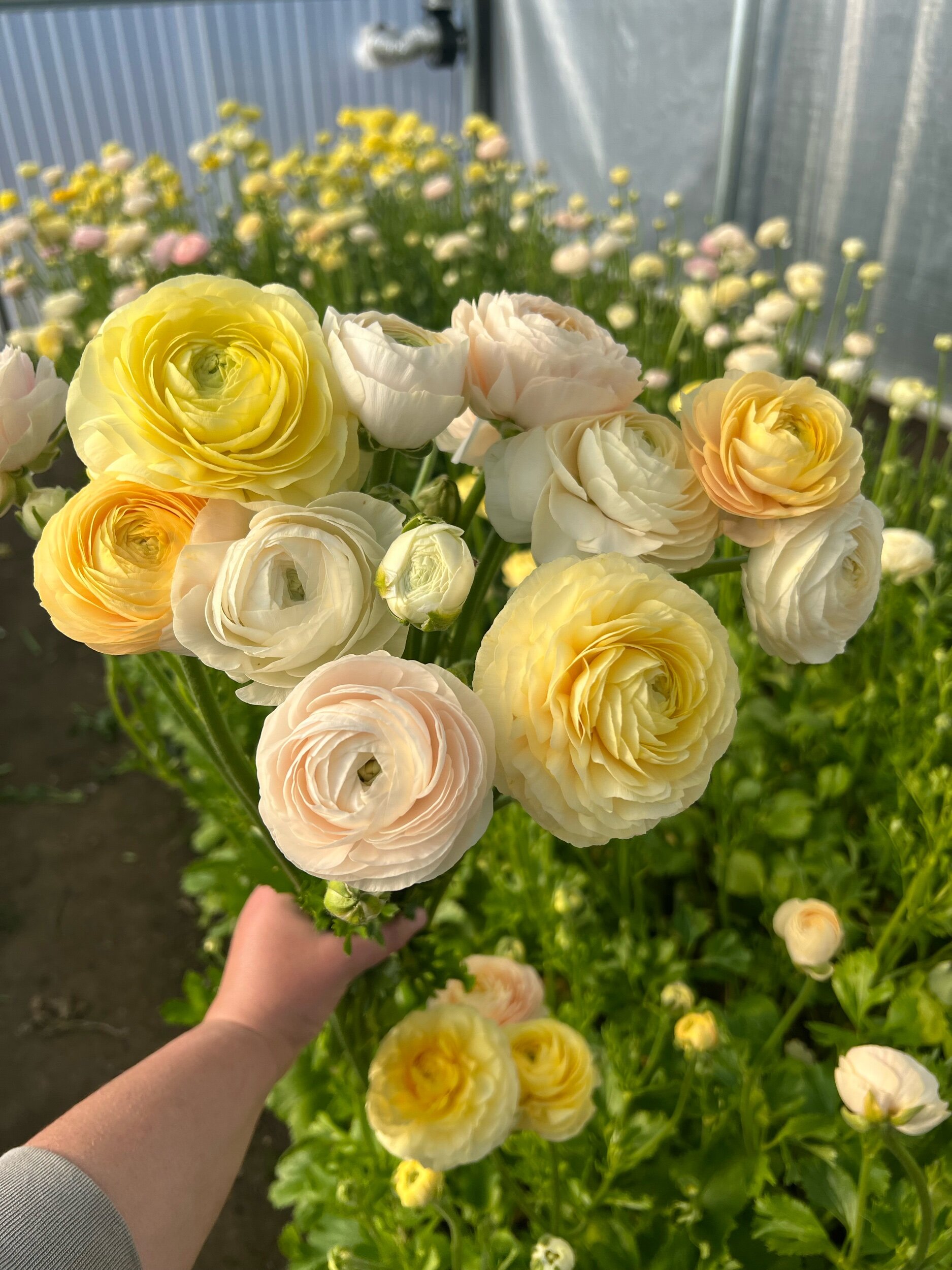 4ECFD0C8-9187-42AA-A096-2571C9594C04