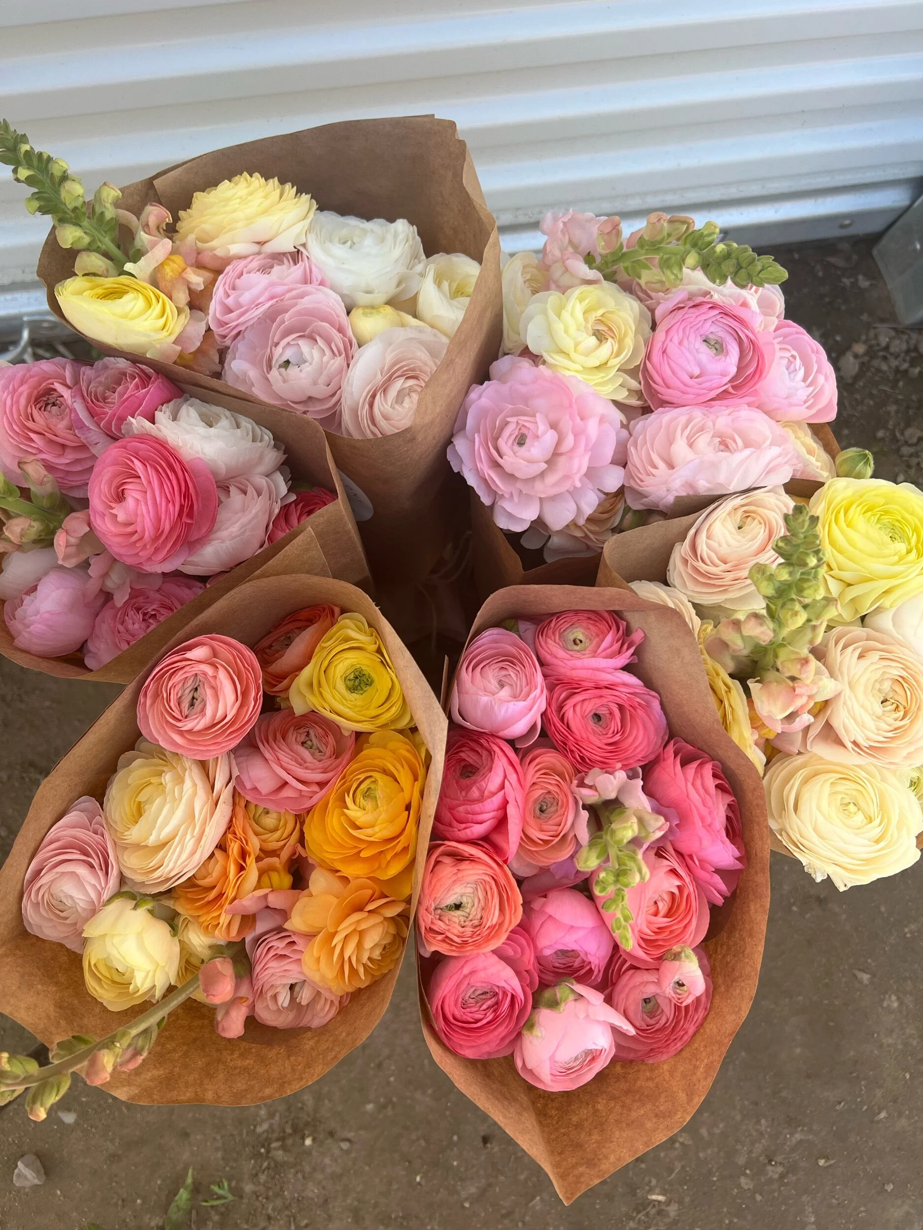 A83ABB42-6ABB-49BA-90A6-DC281C0D6FFB