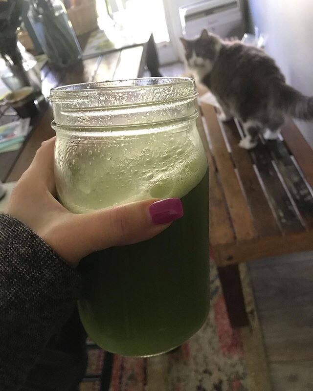 Rosie says, &ldquo;got celery juice&rdquo;?! Although it may not feel too happy at the moment, Happy St. Patrick&rsquo;s Day!  Hope that there can still be positivity and celebration in the air!
In the light of everything making self care a priority 