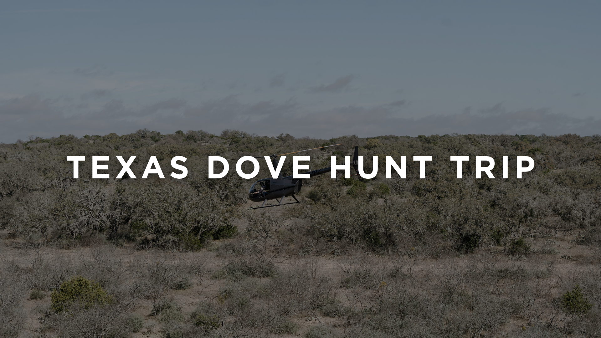 ANNUAL DOVE HUNT TRIP