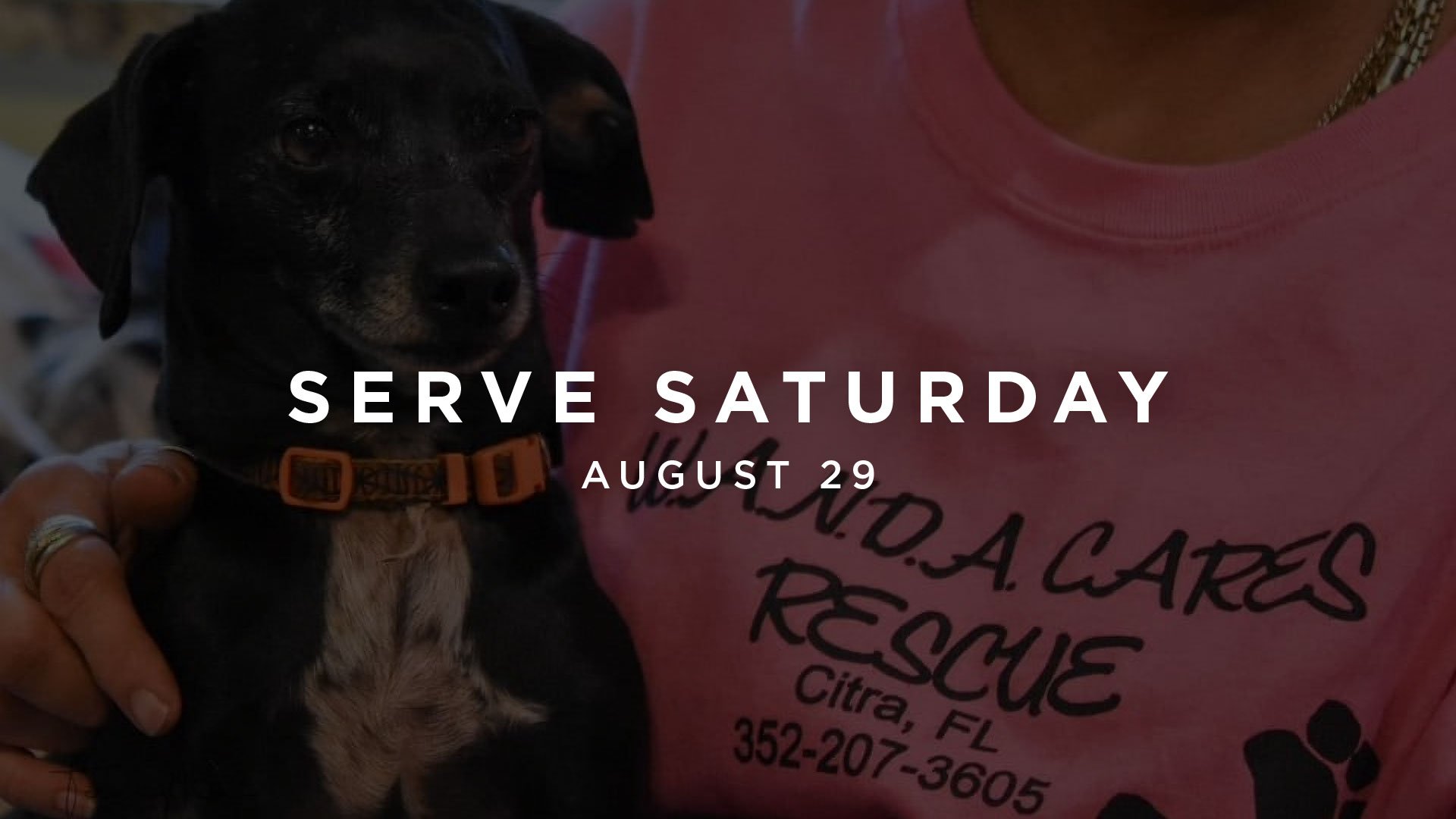 SERVE Saturday