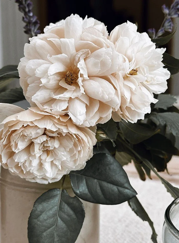 rose bouquet